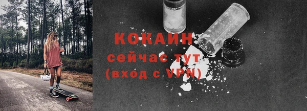 тгк Алексин